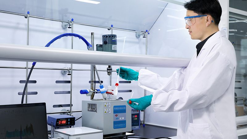 可降解材料与生物基材料：本质区别与关键应用**