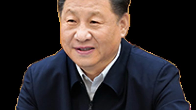 北京高分子材料生产厂家排名：揭秘行业实力与选择标准